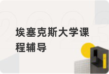 埃塞克斯大学课程辅导