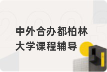 中外合办都柏林大学课程辅导