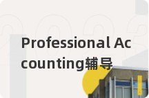 Professional Accounting辅导