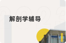 解剖学辅导