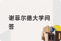 谢菲尔德大学问答