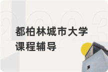 都柏林城市大学课程辅导