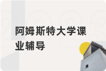 阿姆斯特大学课业辅导