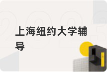 上海纽约大学辅导