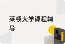 莱顿大学课程辅导