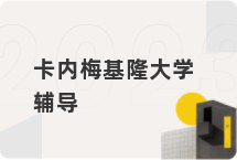 卡内梅基隆大学辅导