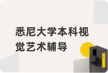 悉尼大学本科视觉艺术辅导