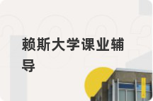 赖斯大学课业辅导