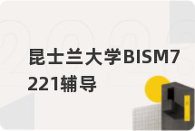 昆士兰大学BISM7221辅导