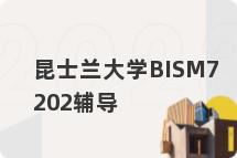 昆士兰大学BISM7202辅导