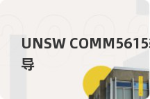 UNSW COMM5615辅导