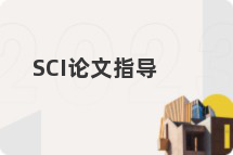 SCI论文指导