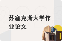 苏塞克斯大学作业论文