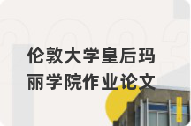 伦敦大学皇后玛丽学院作业论文